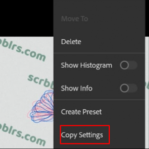 Copying and Applying the Preset to the Image