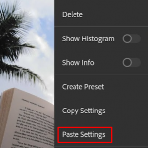 Copying and Applying the Preset to the Image